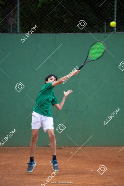 STEF3683.jpg
