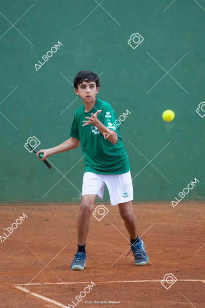 STEF3680.jpg