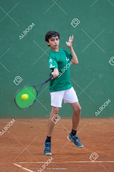STEF3681.jpg