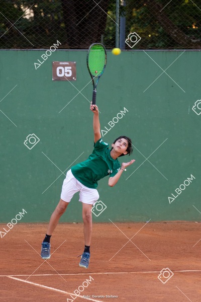 STEF3690.jpg