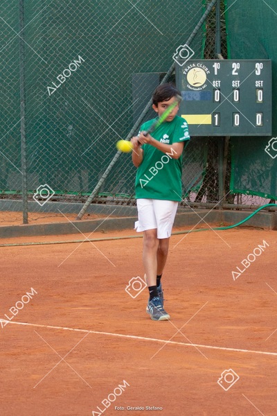 STEF2748.jpg