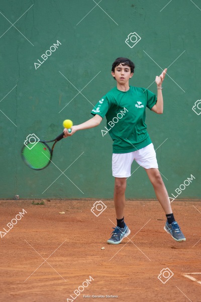 STEF3677.jpg