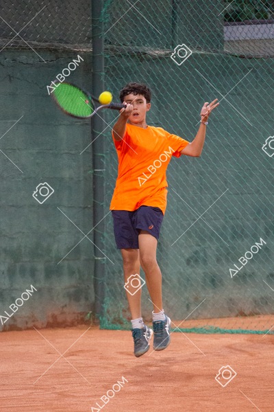 STEF6852.jpg