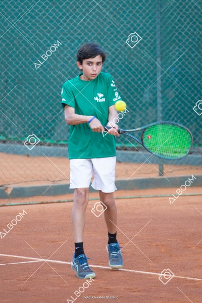 STEF2745.jpg
