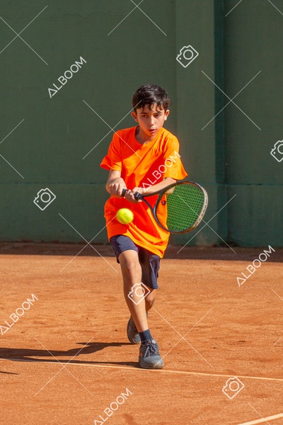 STEF4731.jpg