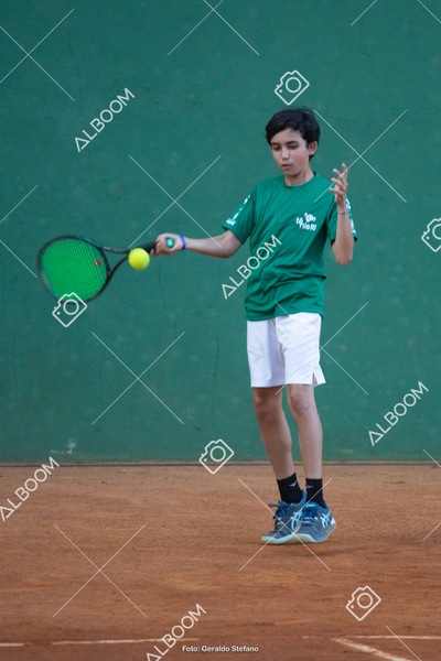 STEF2760.jpg