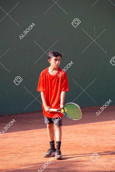 STEF5655.jpg