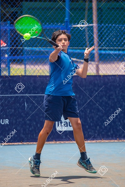 STEF3308.jpg