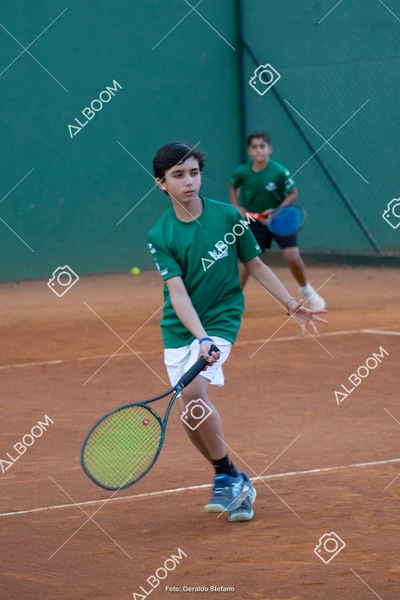 STEF2766.jpg
