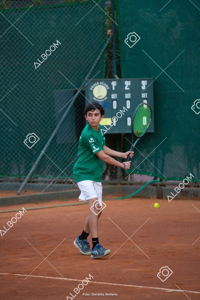 STEF2740.jpg