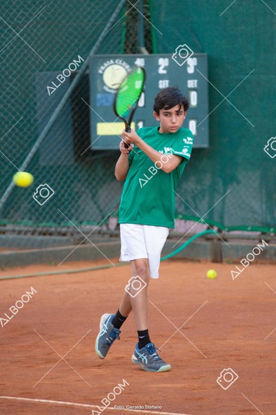 STEF2742.jpg