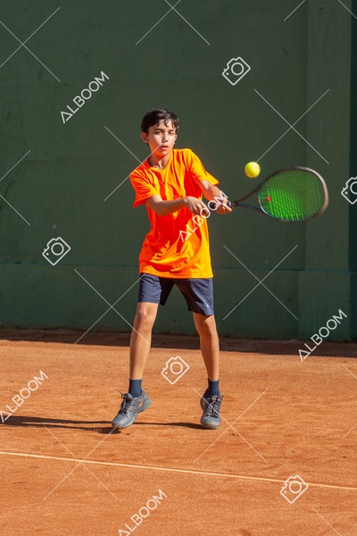 STEF4730.jpg
