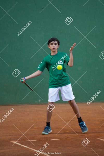 STEF2767.jpg