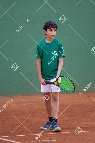 STEF3688.jpg