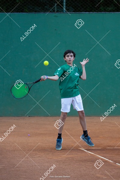 STEF2768.jpg