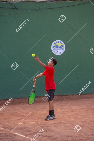 STEF5694.jpg