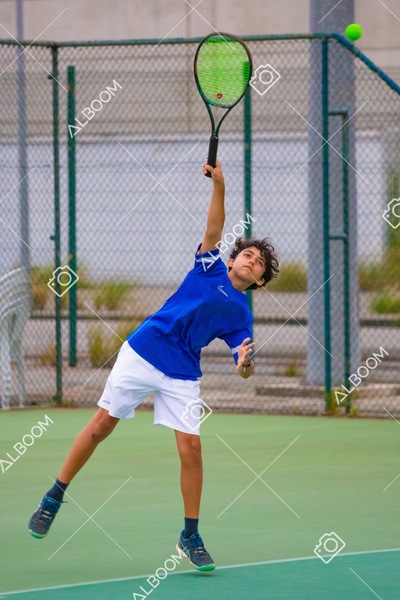 STEF3850.jpg