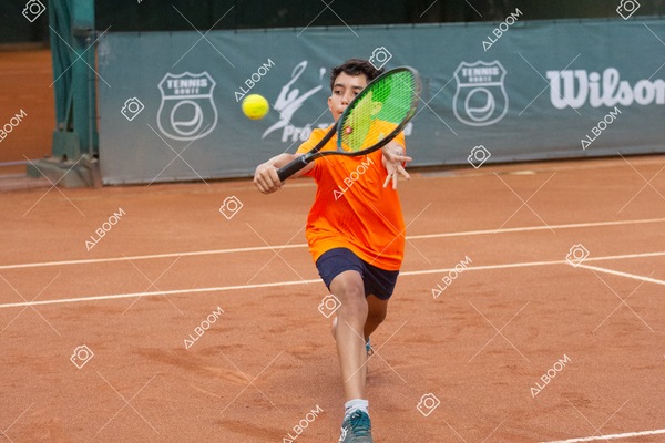 STEF6823.jpg