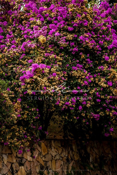 1 Mosaico_Sabara_Maio2019.jpg