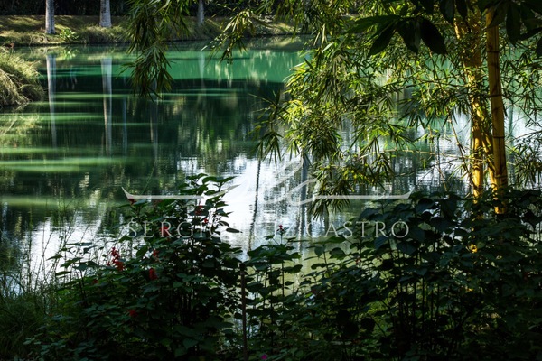 1 Natureza_Inhotim_Jul2016.jpg