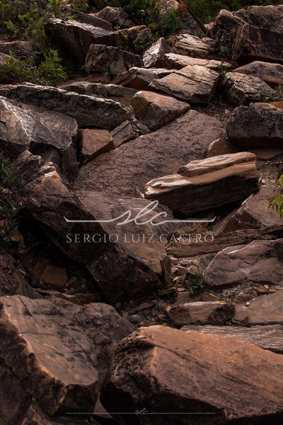 1 Natureza_SerradoCipo_Set2014-13.jpg