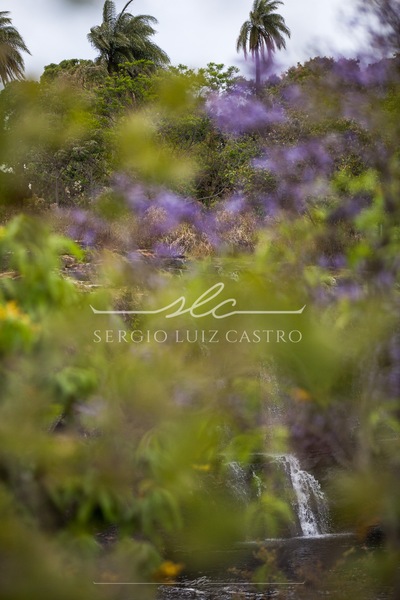 1 Natureza_SerradoCipo_Set2014-9.jpg