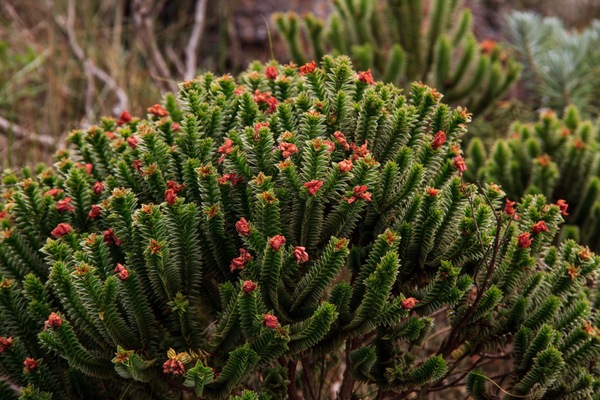_MG_5448.jpg
