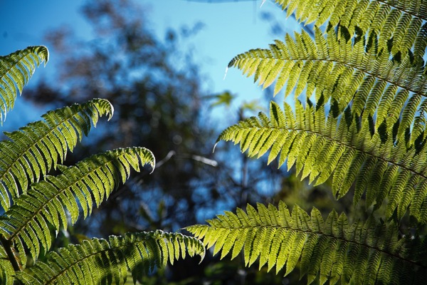 Açude--_MG_9567.jpg