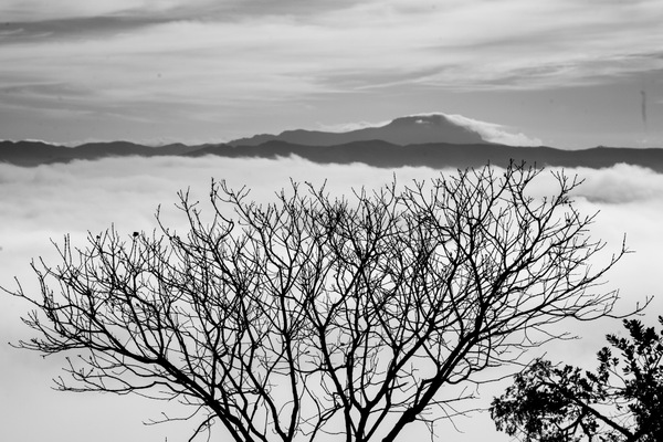 Nova Lima--_MG_0708.jpg
