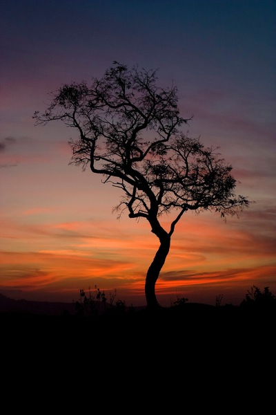 CRW_8633.jpg