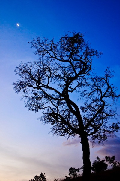 CRW_8636.jpg