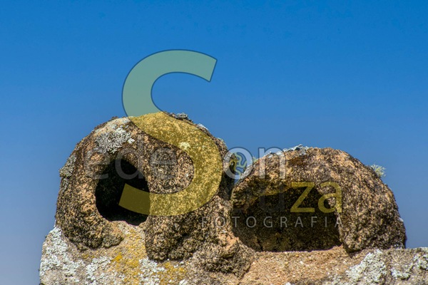 29032024_Vila Élvio- Encanto e Tradição em Piedade, SP Brasil, Um Refúgio de Beleza Natural e Hospitalidade Acolhedora_0005.jpg