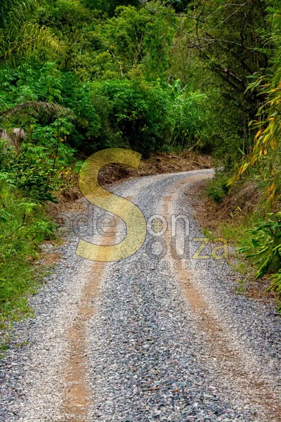 Descobrindo a Natureza- Explore a Serenidade da Estrada de Terra Rural, Um Caminho Pitoresco para Aventuras e Descobertas (1 de 1).jpg