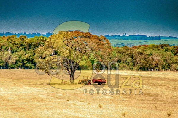 110520_Pilar do Sul_0020.jpg