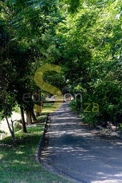 30032024_Explorando a Essência Histórica e Cultural da Rua Henrique Dias em Sorocaba, SP, Brasil- Uma Jornada de Descoberta e Encantamento_0001.jpg
