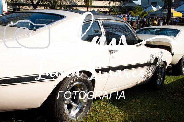 DSC_4270.png