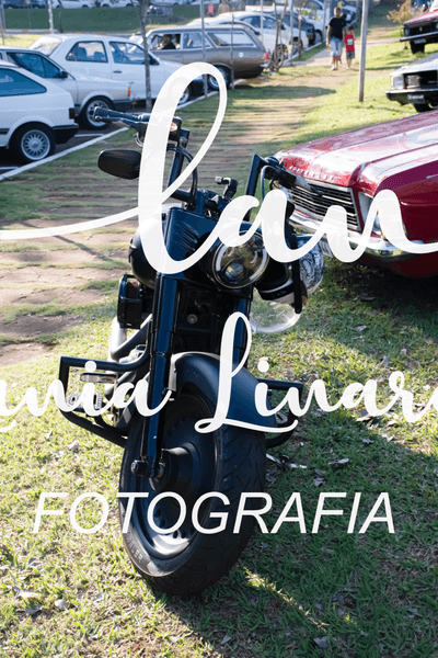 DSC_4282.png