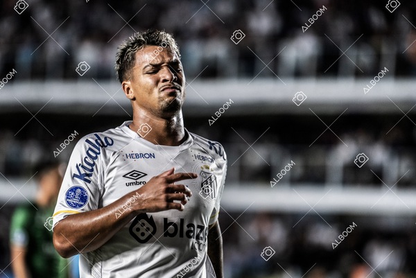 230420_Santos_0x0_Audax-CHI_Sulamericana_foto Dennis Calçada_01 (135)-1.jpg