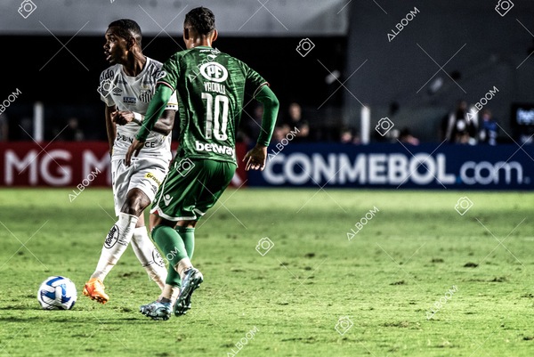 230420_Santos_0x0_Audax-CHI_Sulamericana_foto Dennis Calçada_01 (784)-1.jpg