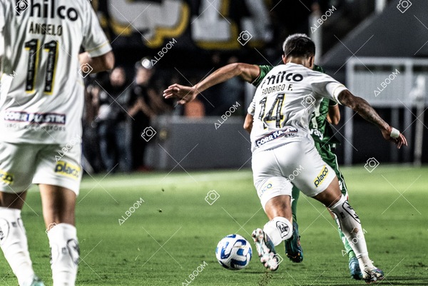 230420_Santos_0x0_Audax-CHI_Sulamericana_foto Dennis Calçada_01 (124)-1.jpg