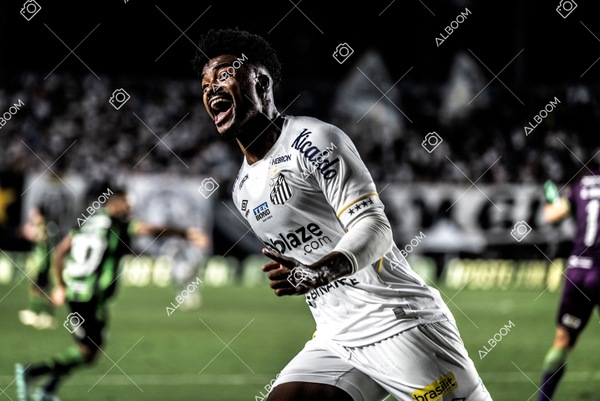 230429_SFC_3x2_AméricaMG_Brasileirão_foto Dennis Calçada_01 (281)-1.jpg