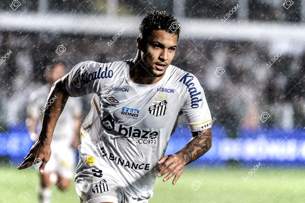 230429_SFC_3x2_AméricaMG_Brasileirão_foto Dennis Calçada_01 (576)-1.jpg