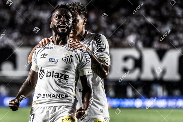 230429_SFC_3x2_AméricaMG_Brasileirão_foto Dennis Calçada_01 (167)-1.jpg