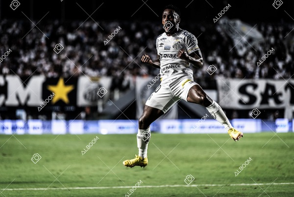 230429_SFC_3x2_AméricaMG_Brasileirão_foto Dennis Calçada_01 (159)-1.jpg