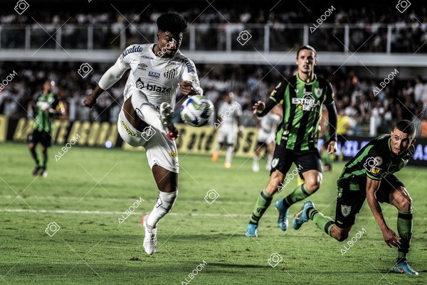 230429_SFC_3x2_AméricaMG_Brasileirão_foto Dennis Calçada_01 (273)-1.jpg