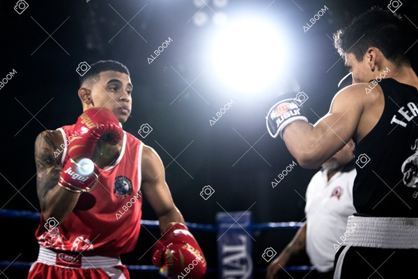 220820_2Edicao_BoxeEvolutionn_foto Dennis Calçada_01 (1739)-1.jpg