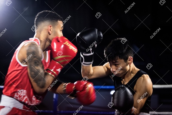 220820_2Edicao_BoxeEvolutionn_foto Dennis Calçada_01 (1754)-1.jpg