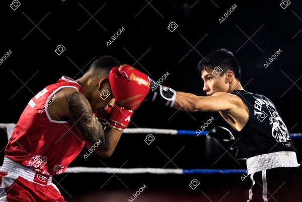 220820_2Edicao_BoxeEvolutionn_foto Dennis Calçada_01 (1764)-1.jpg