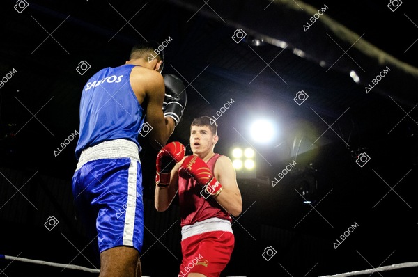 220820_2Edicao_BoxeEvolutionn_foto Dennis Calçada_01 (213)-1.jpg