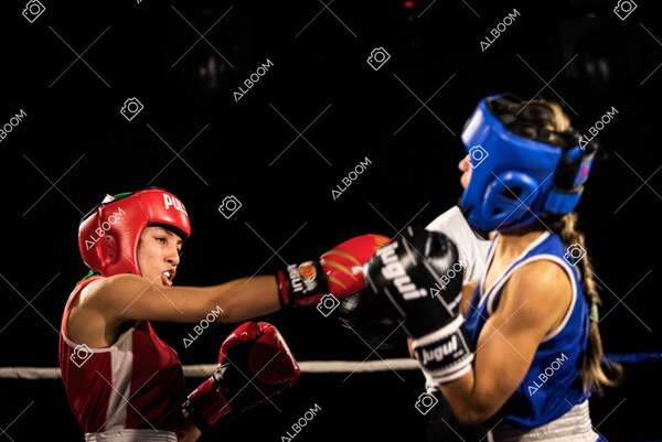 220820_2Edicao_BoxeEvolutionn_foto Dennis Calçada_01 (1797)-1.jpg